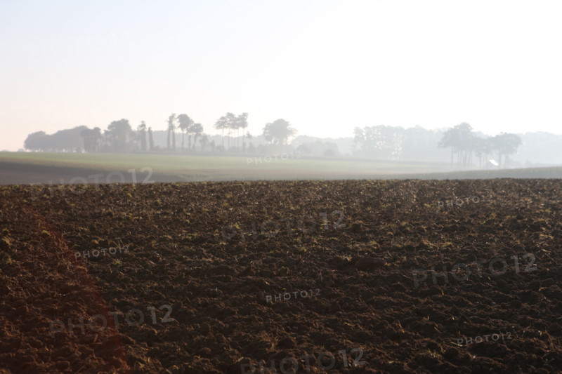 France, Haute Normandie, Seine Maritime, pays de Caux, valliquerville, agriculture, champ laboure,
