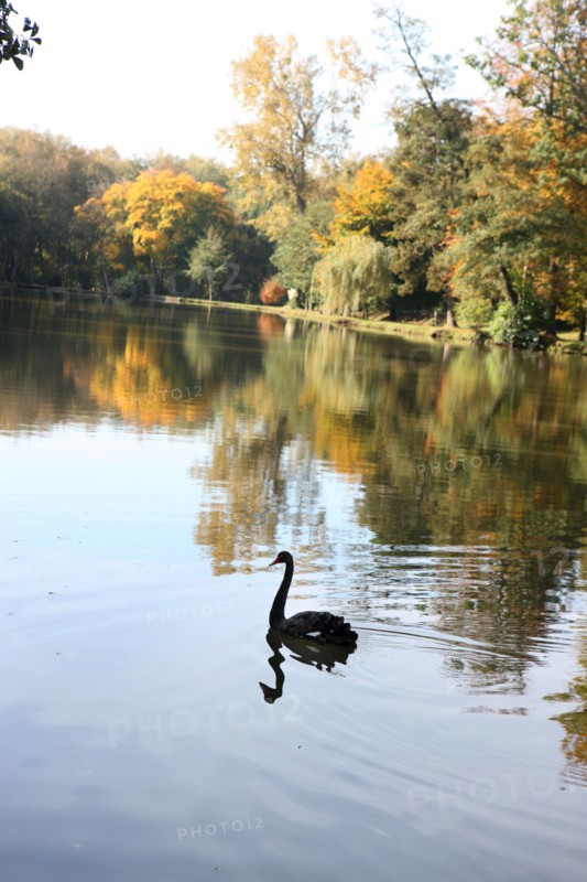 France, pays de bray
