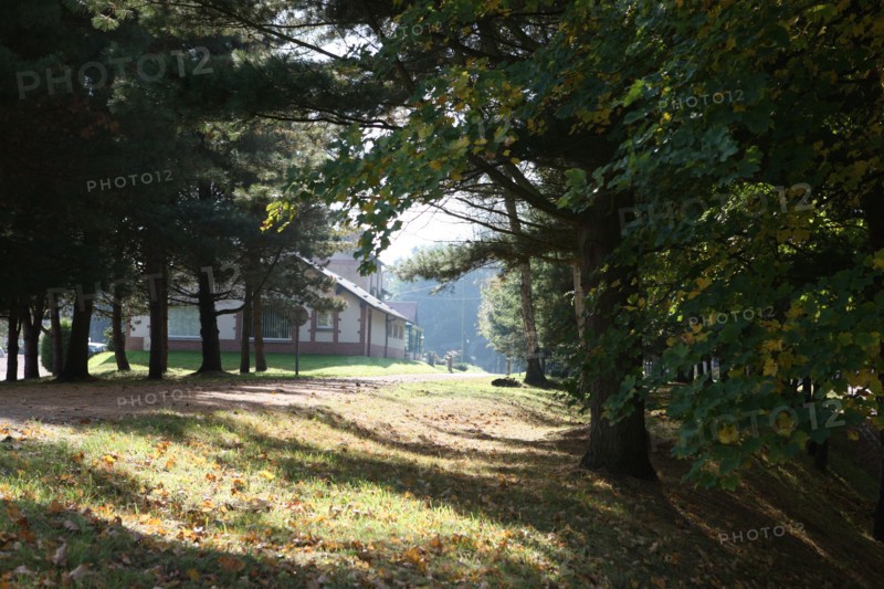 France, pays de bray