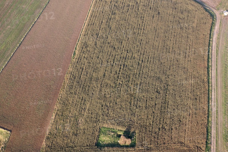 France, Haute Normandie, Seine Maritime, pays de la bresle maritime, survol de la vallee de la bresle maritime, champs, agriculture, bocage, arbres,