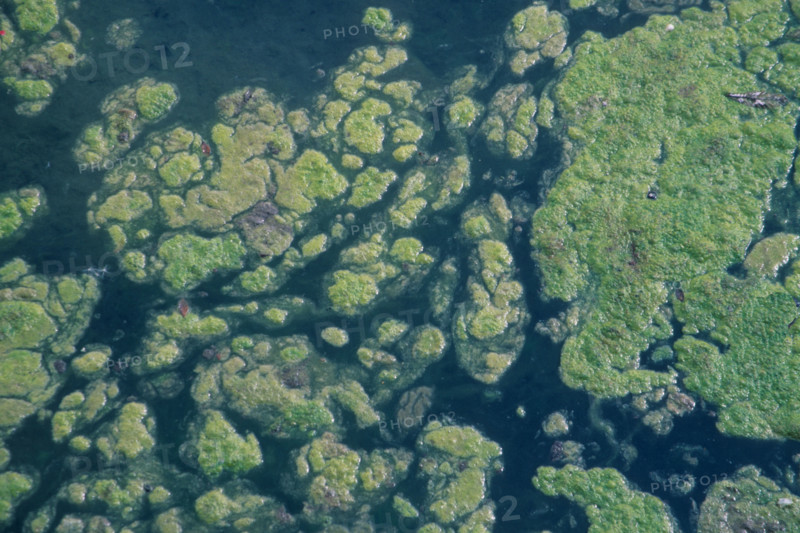France, water pollution