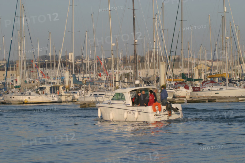 France, Basse Normandie, Manche, Cotentin, Cherbourg, port chantereyne et bateaux de plaisance, vedette, navigation loisir,