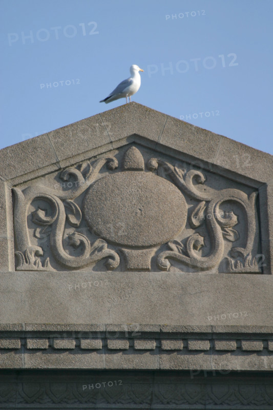 France, cotentin