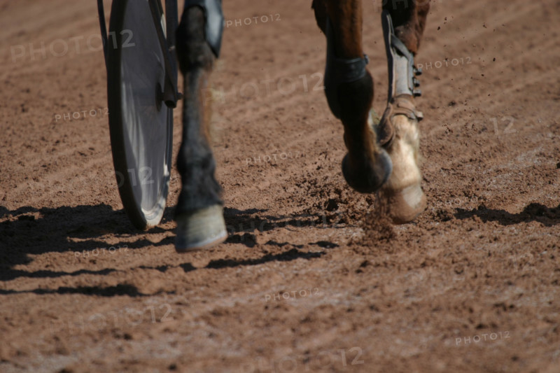 France, Basse Normandie, Manche, Cotentin, Cherbourg, hippodrome de la glacerie, courses de trot, hippisme, cheval trotteur, sulky, driver, detail piste,