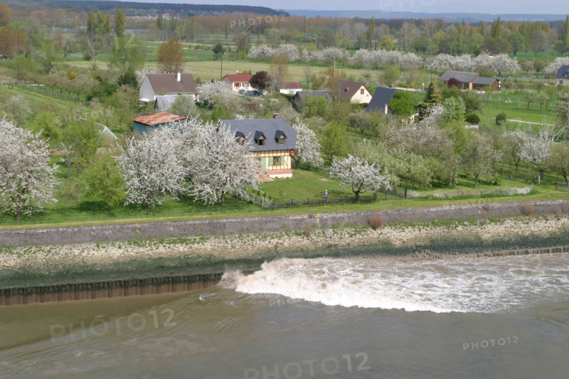 France, Haute Normandie, Seine Maritime, vallee de la Seine, jumieges, paysage, pommiers, vague laissee par un cargo sur le fleuve, berge,