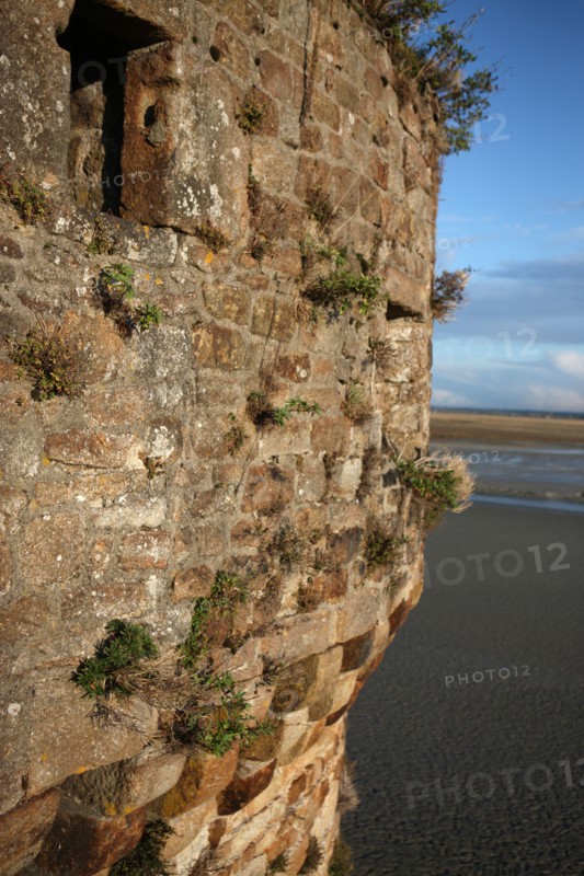France, Basse Normandie, Manche, pays de la baie du Mont-Saint-Michel, le Mont-Saint-Michel, remparts, maree basse,