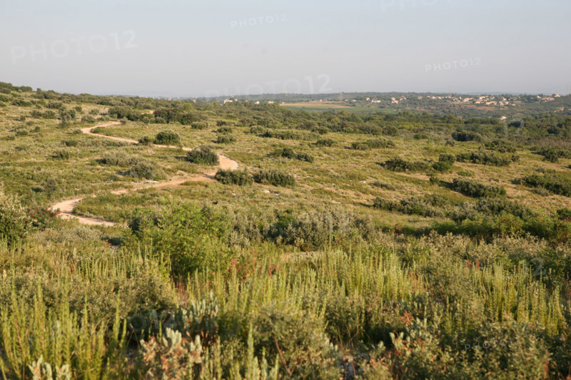 France, languedoc roussillon, gard, chemin de grande randonnee, au dessus des gorges du Gardon GR 6, entre Sanilhac sagries et Collias, garrigue, arbres, panorama,