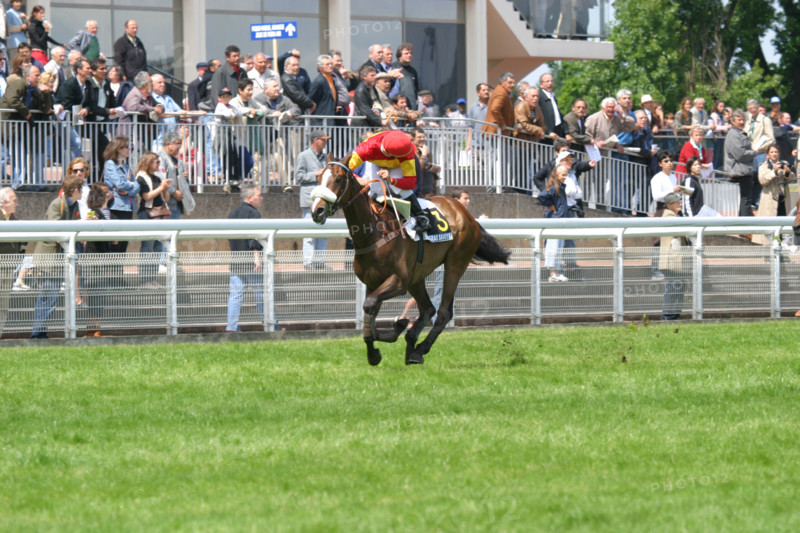 France, auteuil racecourse