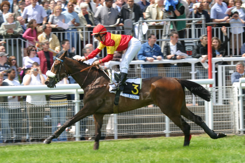 France, ile de france, paris 16e, hippodrome d'auteuil, course d'obstacles, gras savoye grand steeple-chase de paris 2004, jockey, cheval, prix, pur sang, cheval, hippisme, turf,