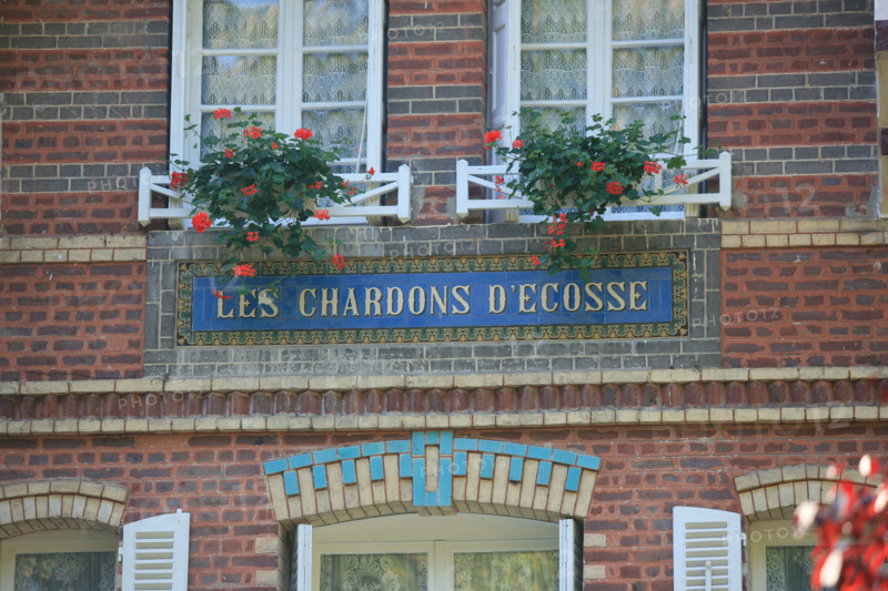 France, somme, entre picardie et Normandie, le bois de cise, maisons, villas, villegiature, 
les chardons d'ecosse