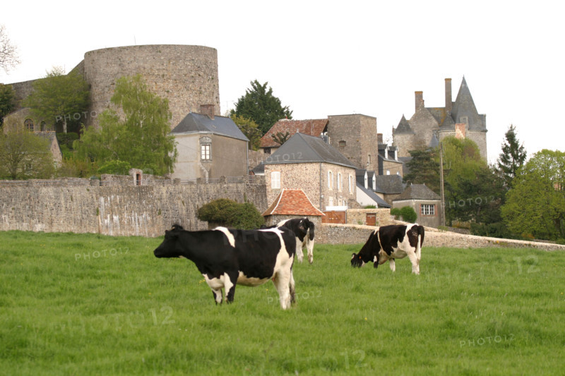 France, pays de loire, mayenne, sainte suzanne, village, forteresse sainte anne, place forte, panorama, habitat traditionnel, maisons, vaches, champ, pre, elevage bovin, agriculture,