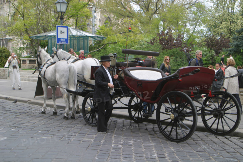 europe, horse-drawn carriages near the castle