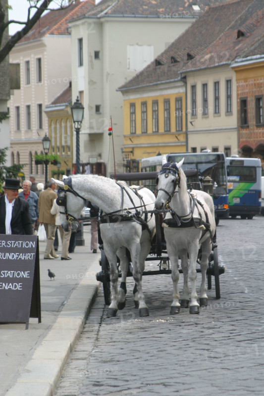 europe, horse-drawn carriages near the castle