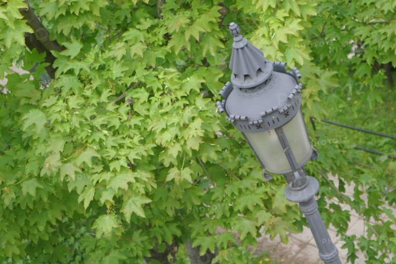 europe, Hongrie, budapest, pres du bastion des pecheurs, lampadaire, arbres,