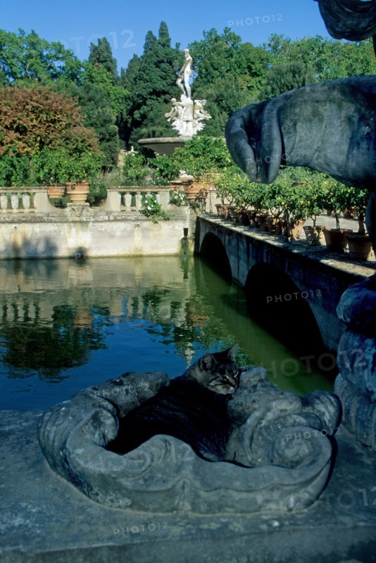 Italie, toscane, florence, firenze, jardin boboli, fontaine, statues sculpture, eau, parc, renaissance italienne,