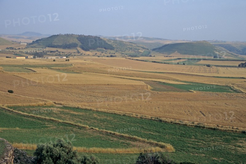 Italie, sardaigne, barumini, paysage, champs, agriculture, vue d'ensemble, monts,