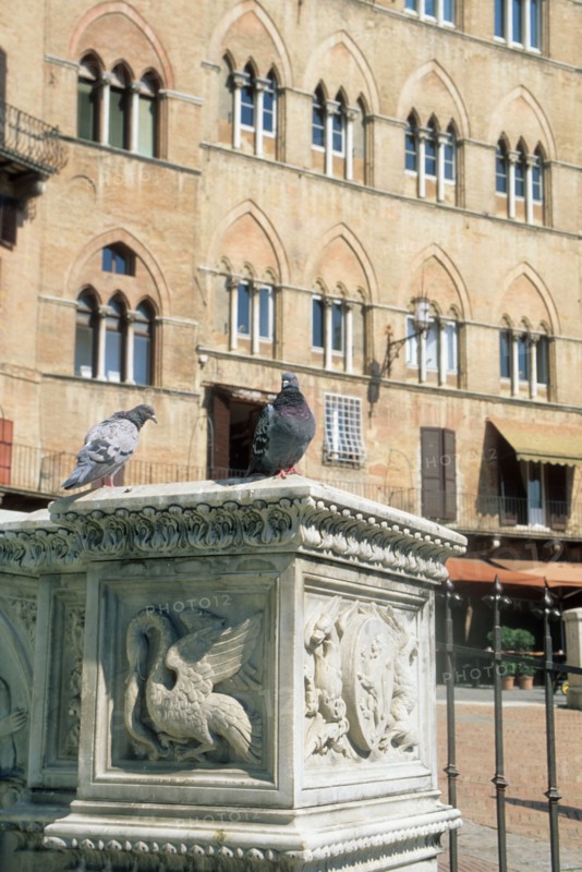 Italie, toscane, sienne, piazza del campo, place, campanile, palais public, sculpture, pigeons,
