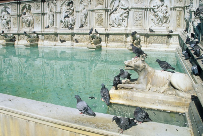 italy, piazza del campo