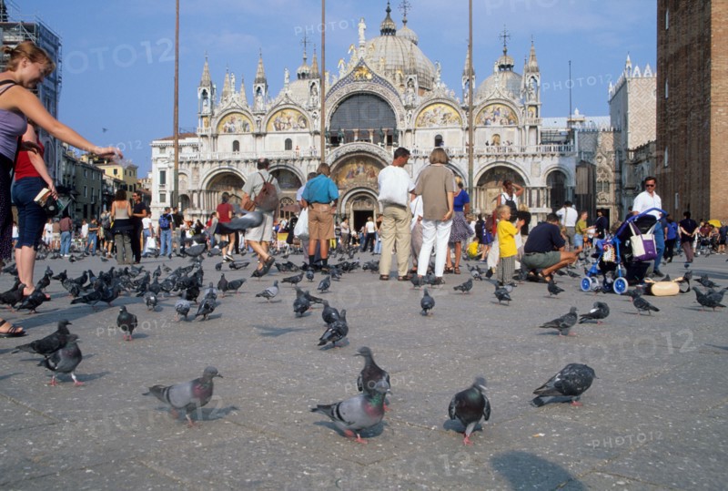 italy, san marco