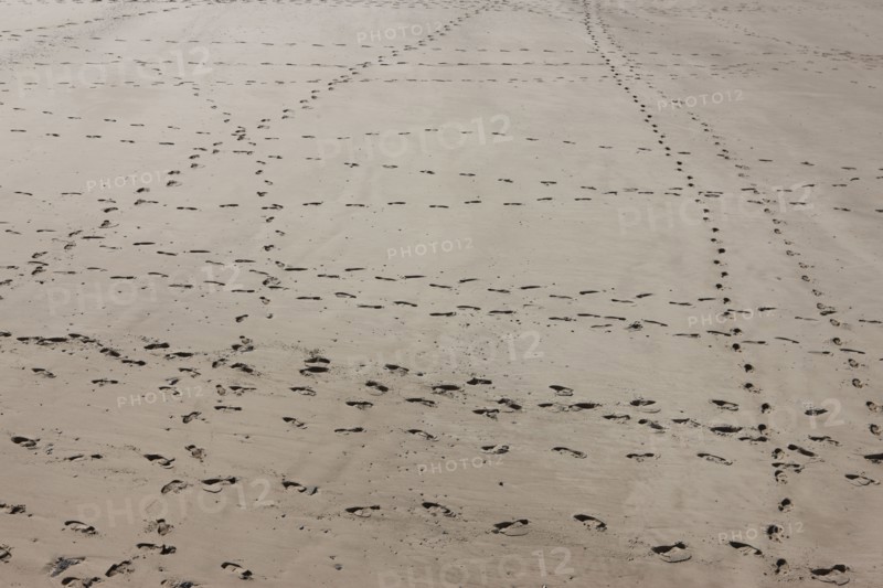 France, region nord, pas de calais, calais, plage, traces de pas, mer du nord, sable