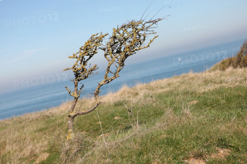 France, cote d'opale