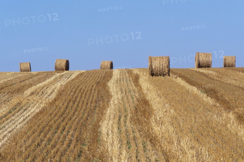 France, south