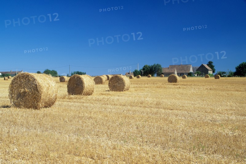 France, south