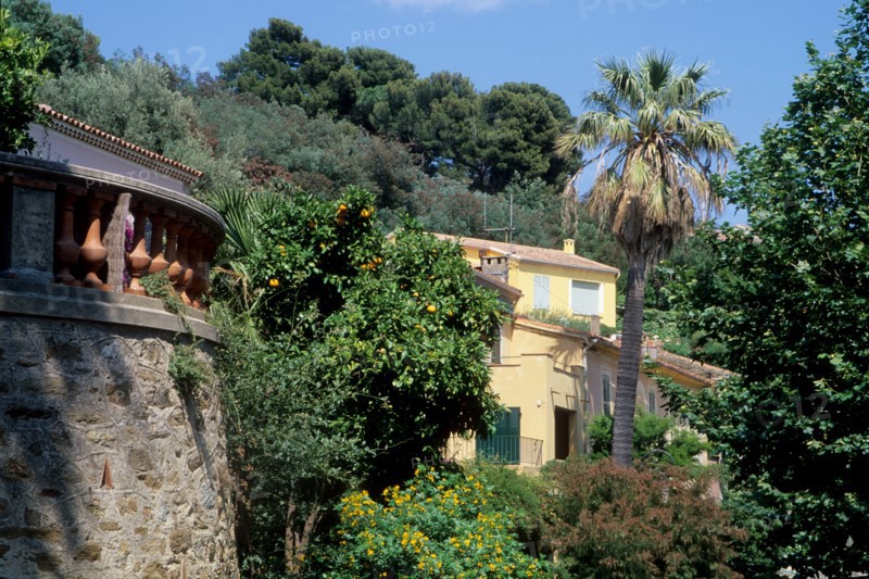 France, village of bormes les mimosas