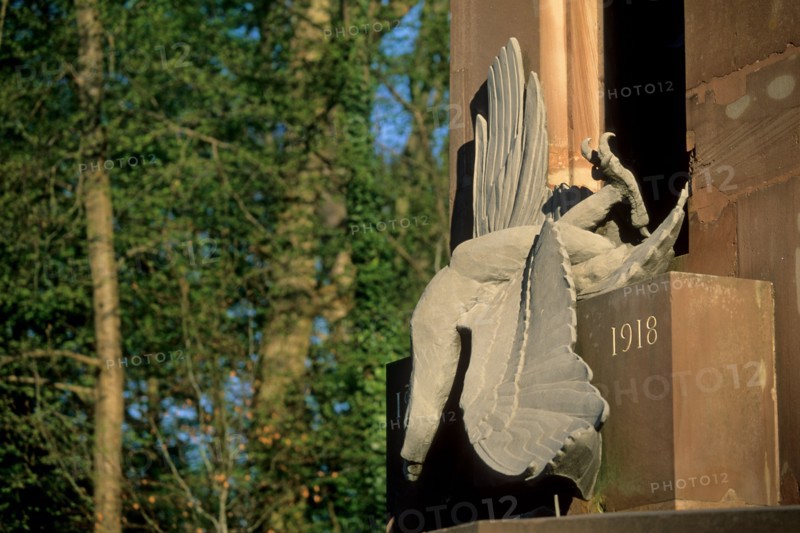 France, region picardie, oise, compiegne, foret de compiegne, clairiere de l'armistice, arbres, premiere guerre mondiale, histoire, 14-18, monument, commemoration, sculpture,