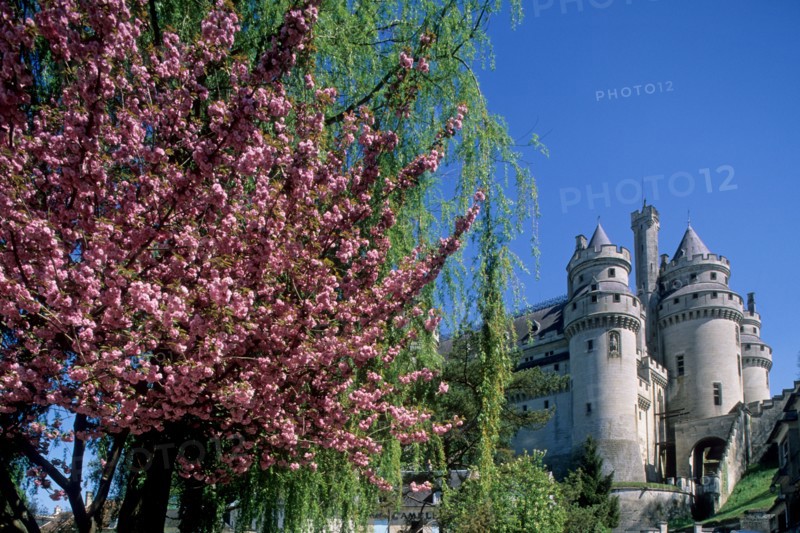 France, region picardie, oise, pierrefonds, chateau, neo gothique, Napoleon III, viollet le duc, monument historique, tours, cerisier du japon, prunus,