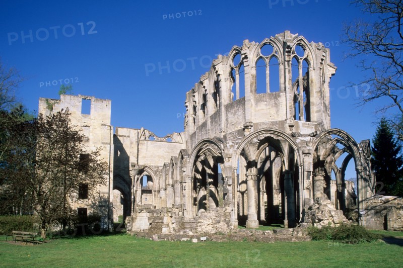 France, region picardie, oise, ourscamps, abbaye, ruines, vestiges, art gothique, pierre, monument historique,