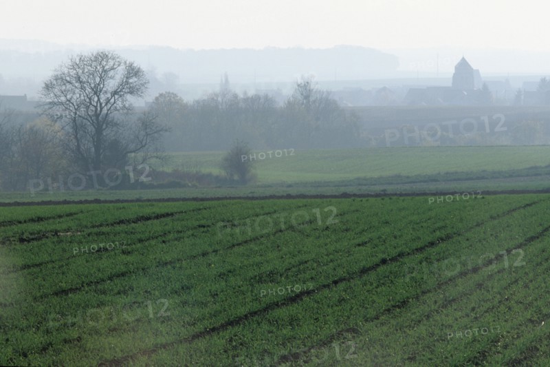 France, region picardie, paysage du valois, agriculture, automne, champs, brume, arbres, sillons,