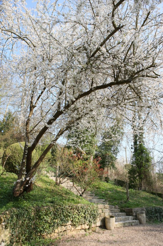 France, vallee de la seine