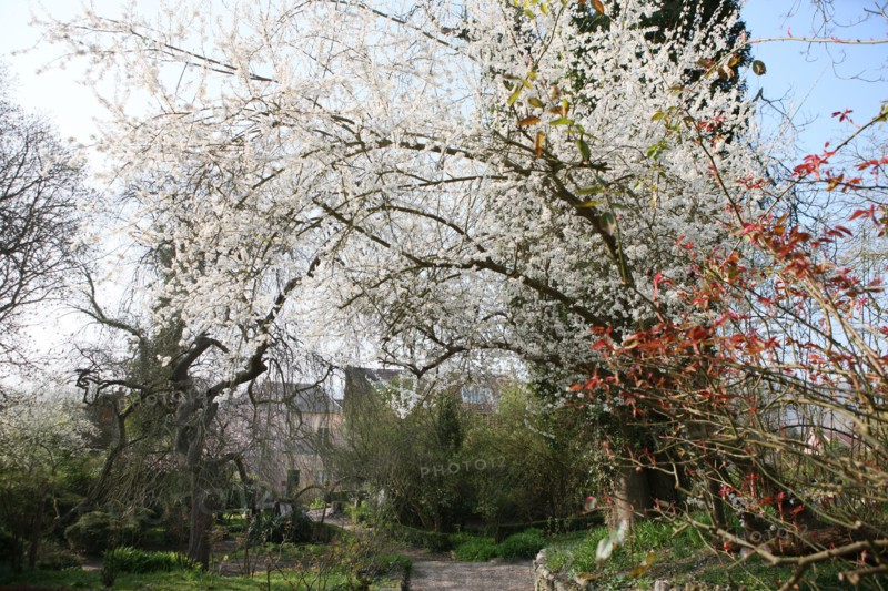 France, Haute Normandie, eure, vallee de la seine, giverny, ancien hotel baudy, restaurant, auberge, claude monet, jardin, fleurs, impressionnistes, peinture, jardin,