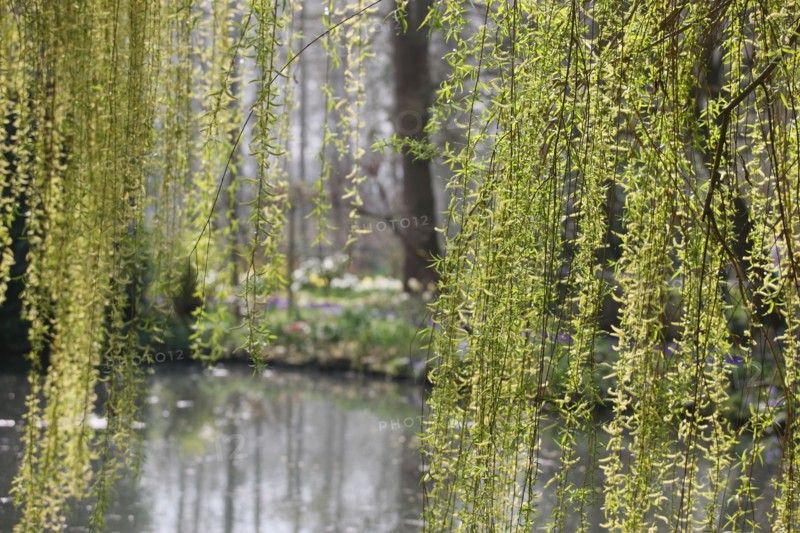 France, Haute Normandie, eure, vallee de la seine, giverny, maison de claude monet, jardin, fleurs, impressionnistes, peinture, jardin d'eau, etang,