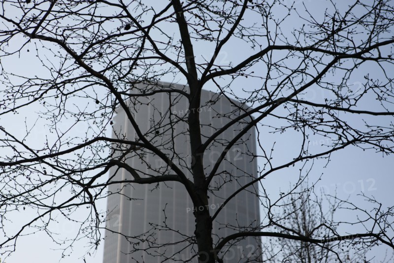 France, ile de france, paris 15e arrondissement, avenue du maine, arbre, tour montparnasse, gratte ciel, immeuble, bureaux,