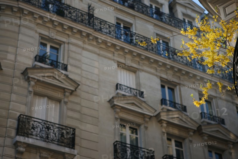 France, boulevard du montparnasse