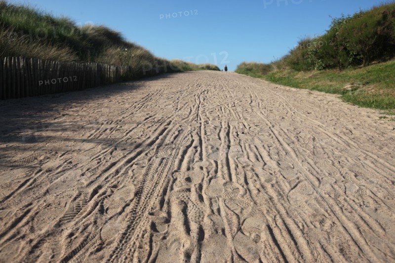 France, Basse Normandie, calvados, plages du debarquement, ouistreham riva bella, plage, sable, chemin, dunes, oyats,