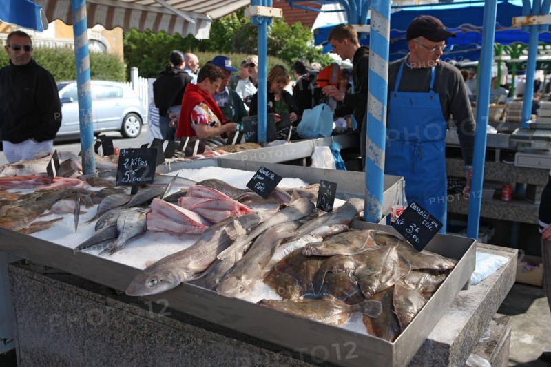 France, Basse Normandie, calvados, plages du debarquement, courseulles sur mer, port, centre ville, pontons, marche aux poissons, debarque, vente directe, peche,