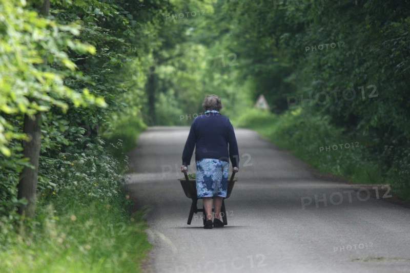 France, pays d'auge