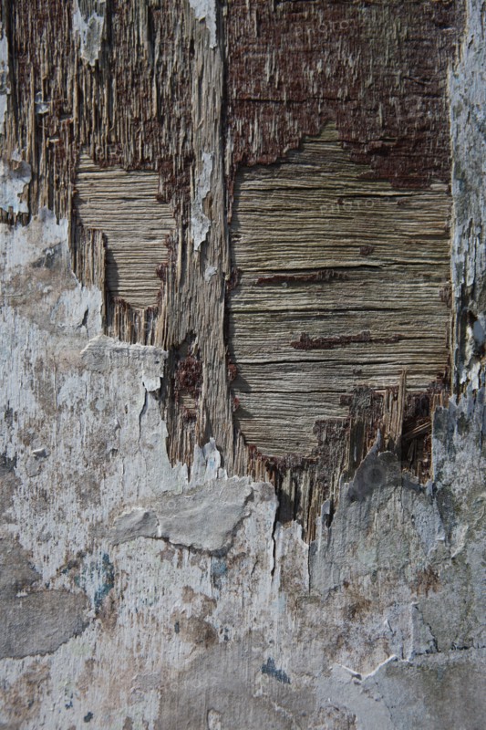 France, Basse Normandie, calvados, cote fleurie, houlgate, bord de mer, plage, detail volet, bois, matiere,
