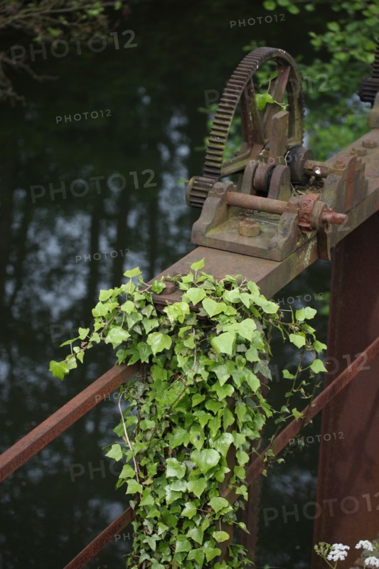 France, pays d'auge