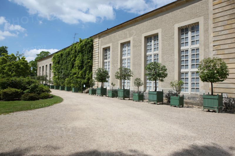 France, ile de france, yvelines, versailles, chateau de versailles, petit trianon, jardin a l'anglaise, orangerie,