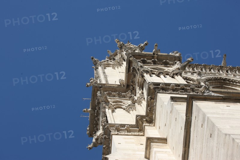 France, cathedral notre dame de paris
