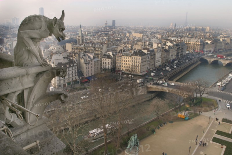 France, ile de france, paris 4e arrondissement, ile de la cite, cathedrale, notre dame de paris, chimeres, vue sur la seine et la rive gauche,