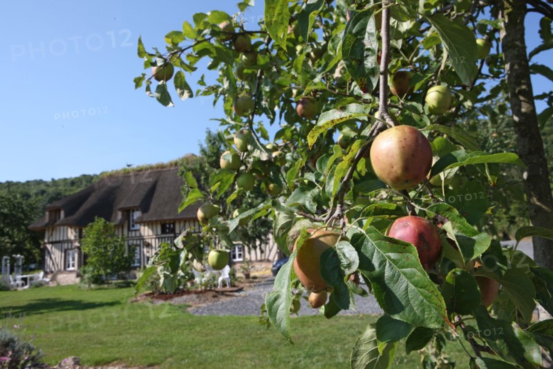 France, pays de risle
