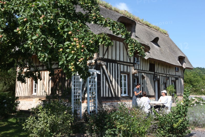 France, Haute Normandie, eure, pays de risle estuaire, Les Cigognes, 211 bis chemin du Roy, maison d'hote, location velo, pommiers, chaumiere, gastronomie, produits regionaux,