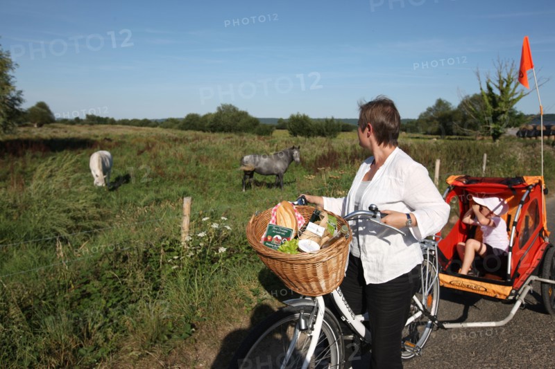France, pays de risle