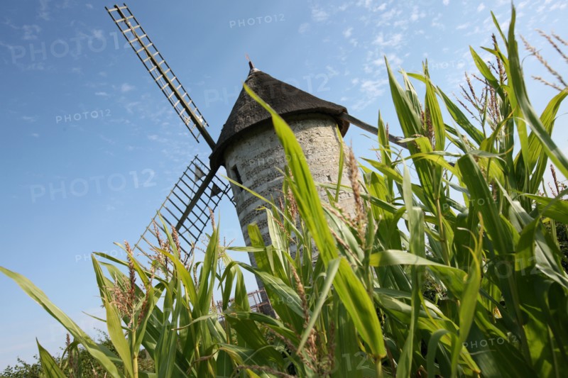 France, roumois land