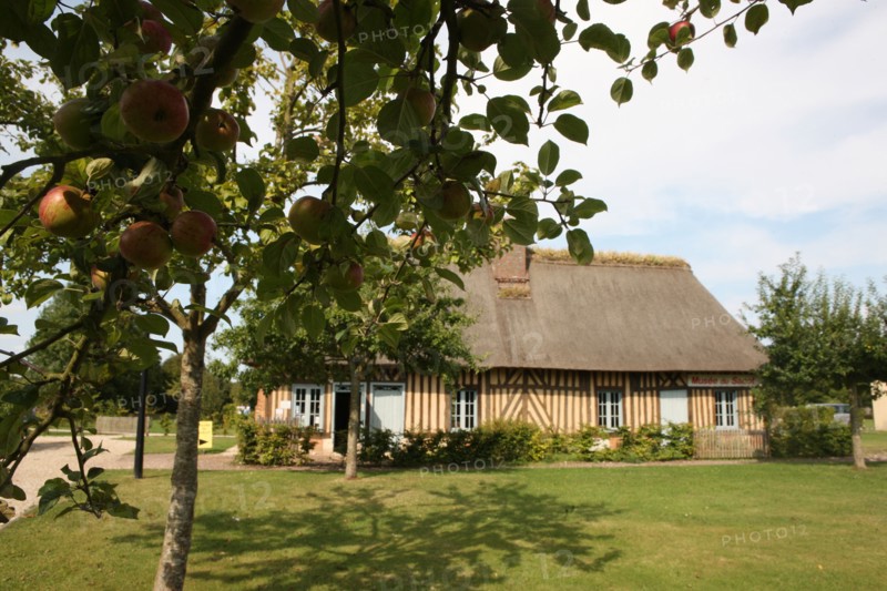 France, Haute Normandie, eure, pays du roumois, la haye de routot, pareimoine, musee du sabot, sabots de collection,